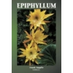 Epiphyllum 1