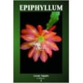 Epiphyllum 2