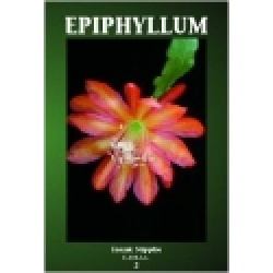 Epiphyllum 2